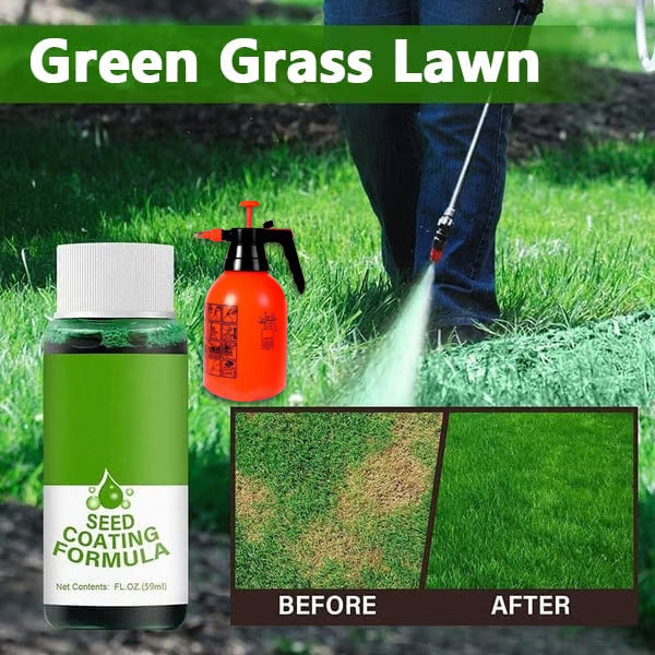 🔥Last Day 70% OFF🌱Hydro Seeding Lawn Solution