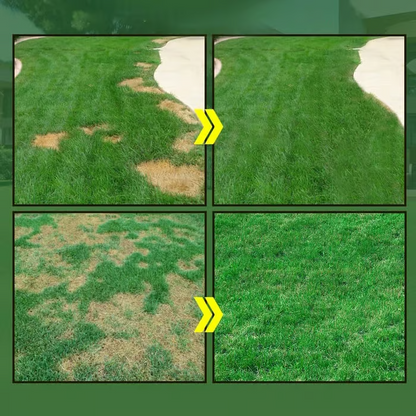 🔥Last Day 50% OFF🌱 Bring Your Dead Grass Back to Life plant nutrient solution